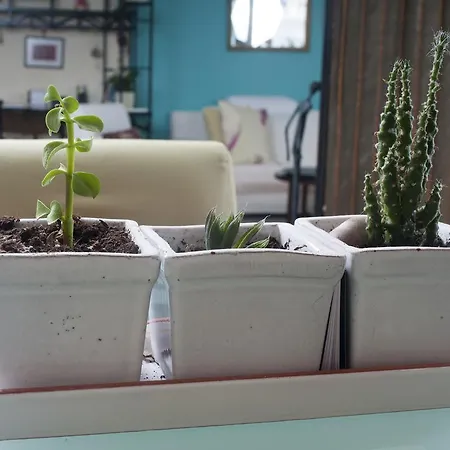 Appartement Retreat And Calming Space Next To The Sea